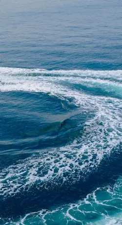 Boat bumpers for transport